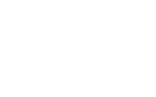 Barcelona International Film Festival — Golden Lion Award