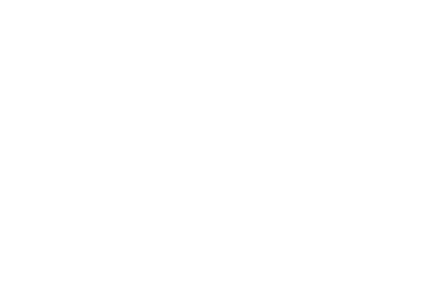 Marfa Film Festival 2017