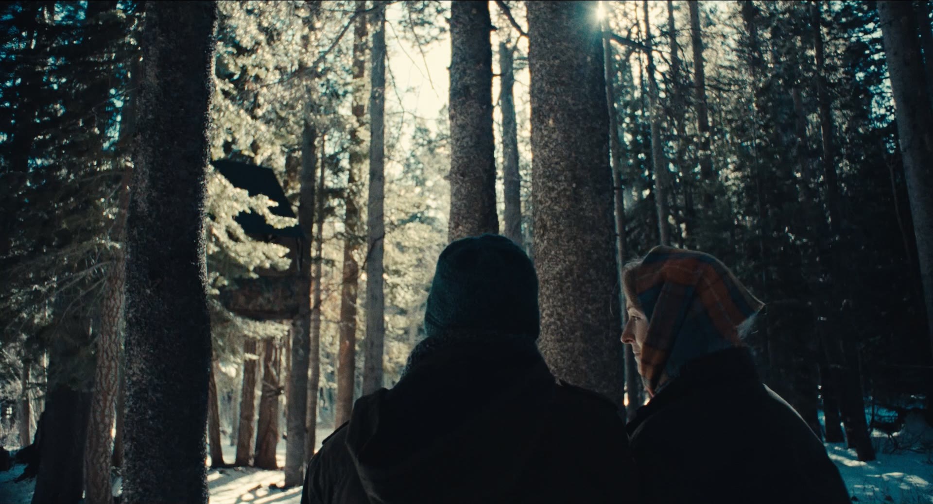 Mammoth — still